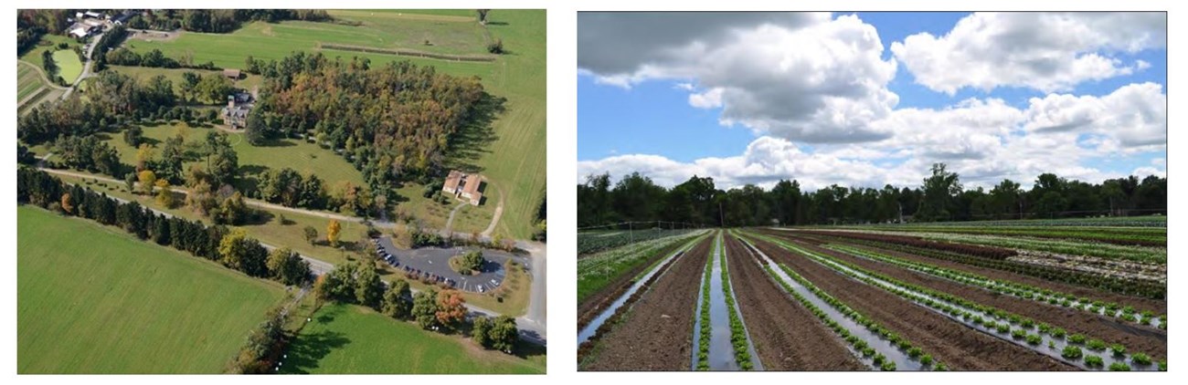 2 Photos: A view of Martin Van Buren NHS from above, with the mansion to the left of center (left). Agricultural field at Martin Van Buren NHS (right)