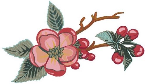 Illustration of a pink apple blossom, leaves, and blossom buds.