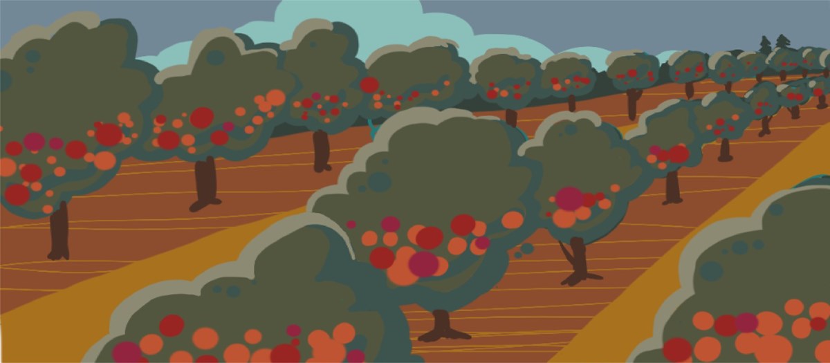 Stylized illustration of an orchard with rows of trees bearing fruit.