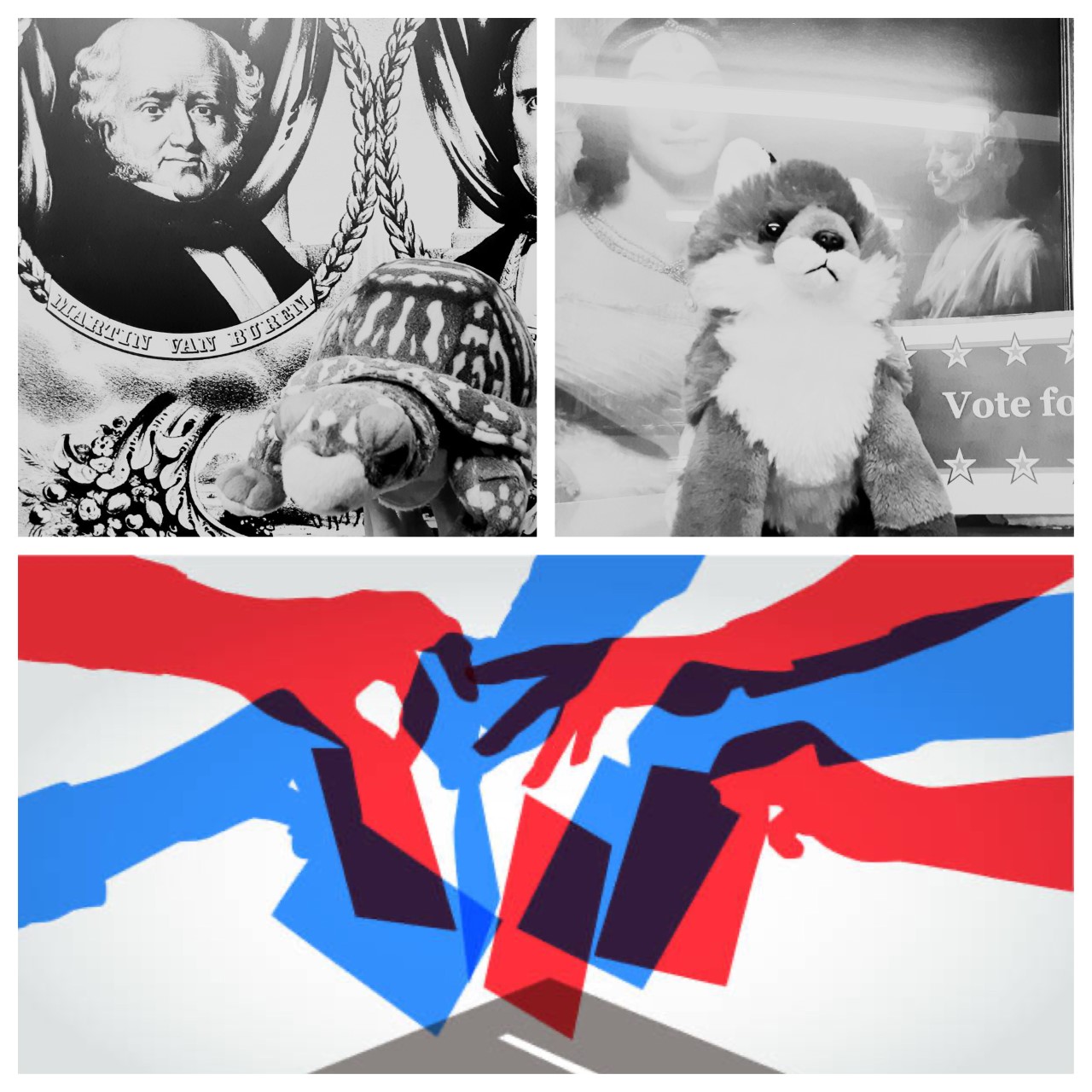 The Candidates: Mortimer and Foxy Images of Mortimer the turtle and Foxy the fox with a graphic of red and blue hands placing ballots in a box