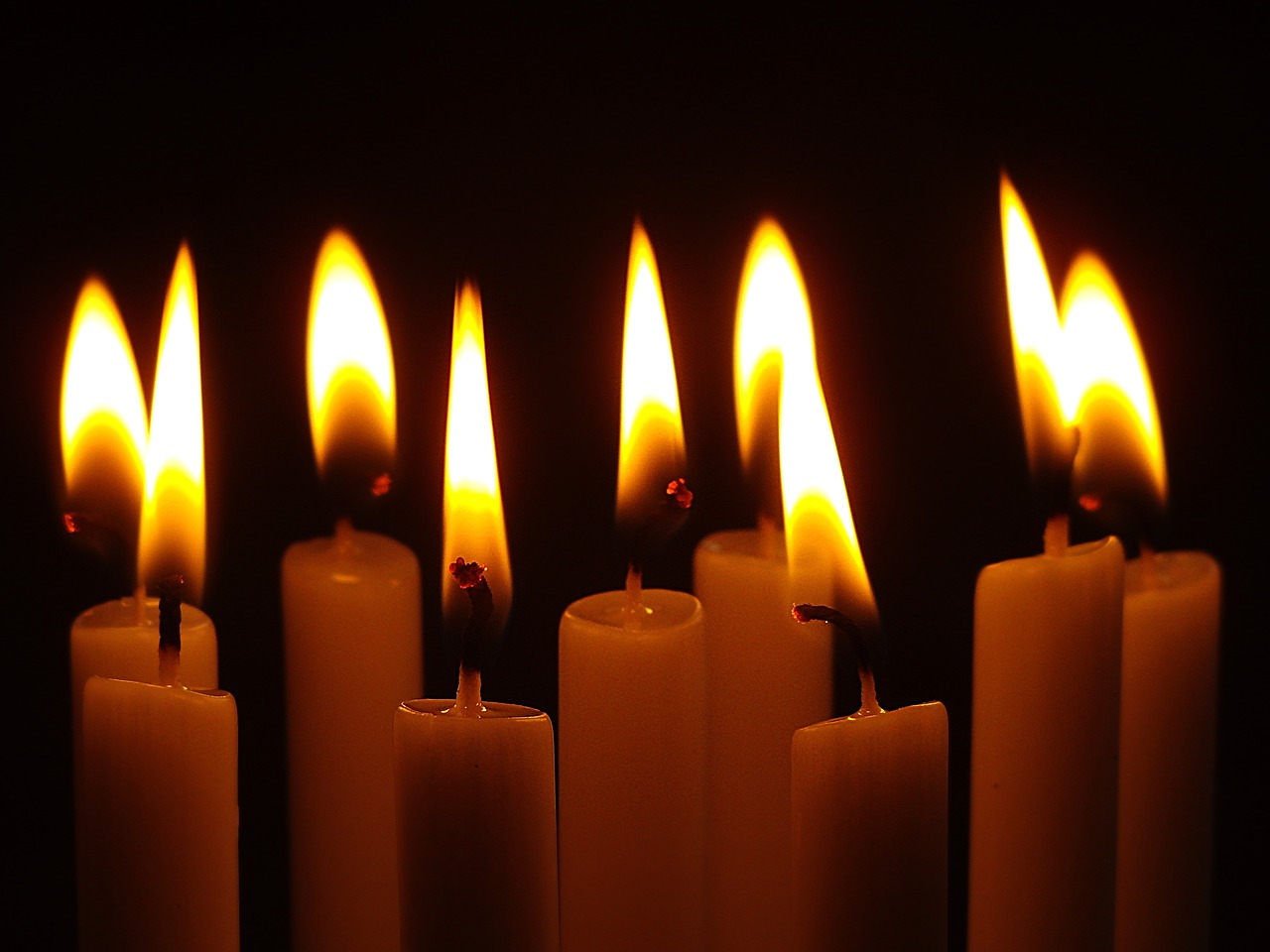 Taper candles lit against a dark background
