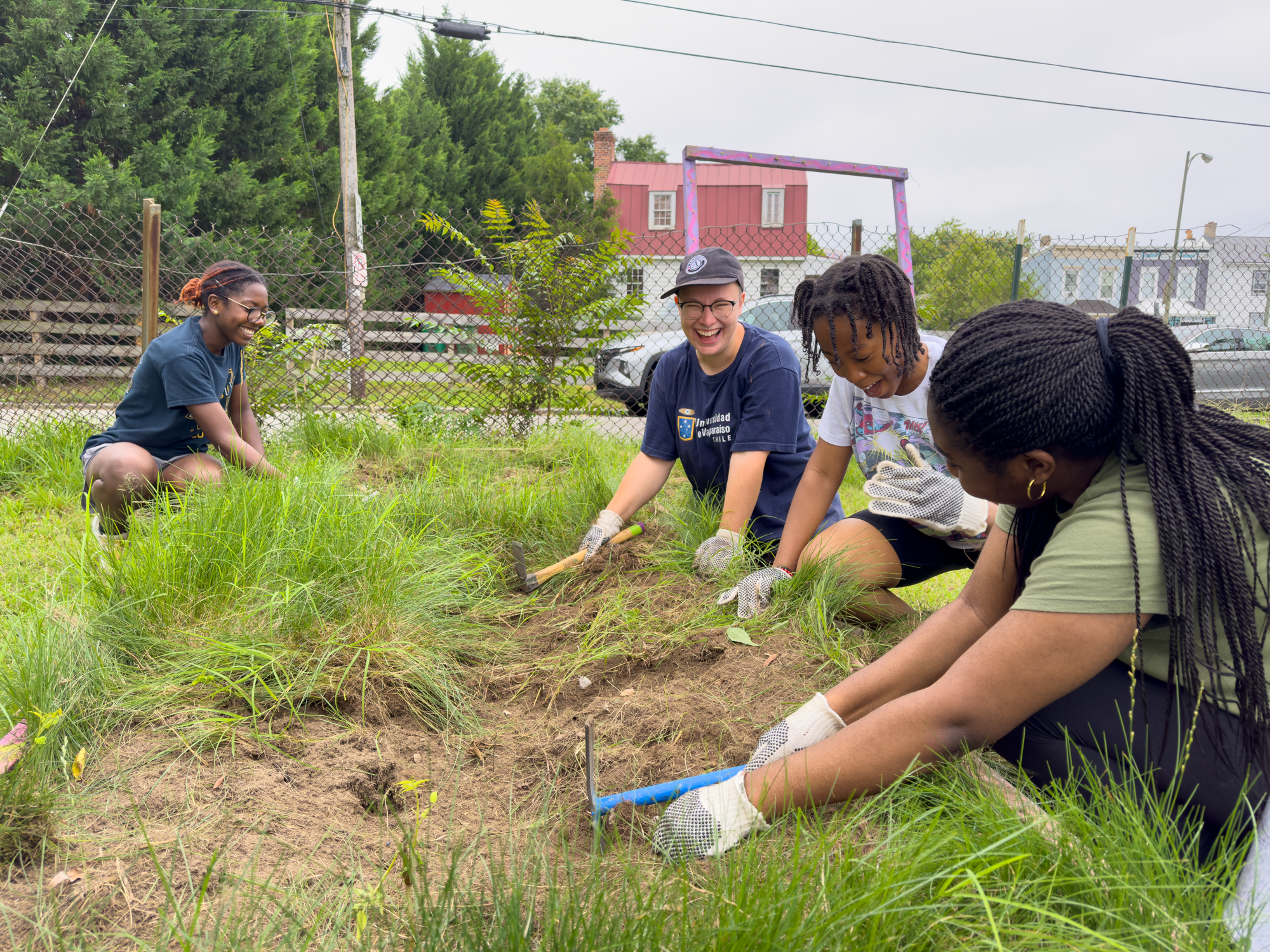 Four young volunteers digging in a garden.