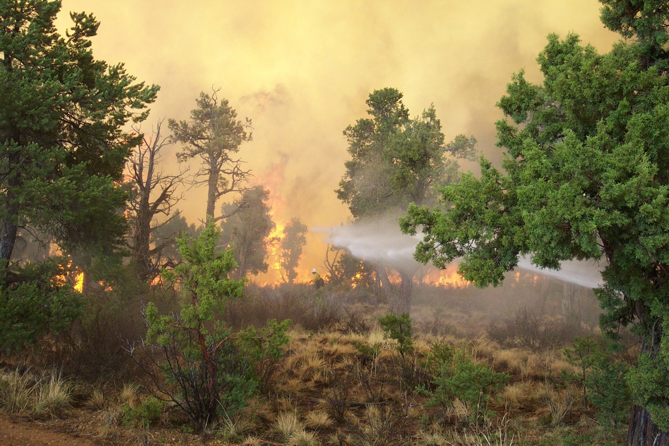 Firefighters spray water on a wildfire burning a pinyon juniper forest