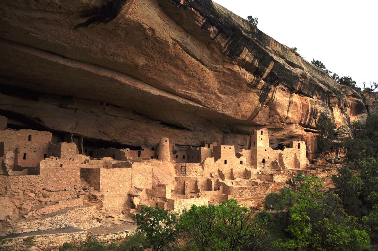 Cliff Palace, a stone built village, sits below the canyon rim.