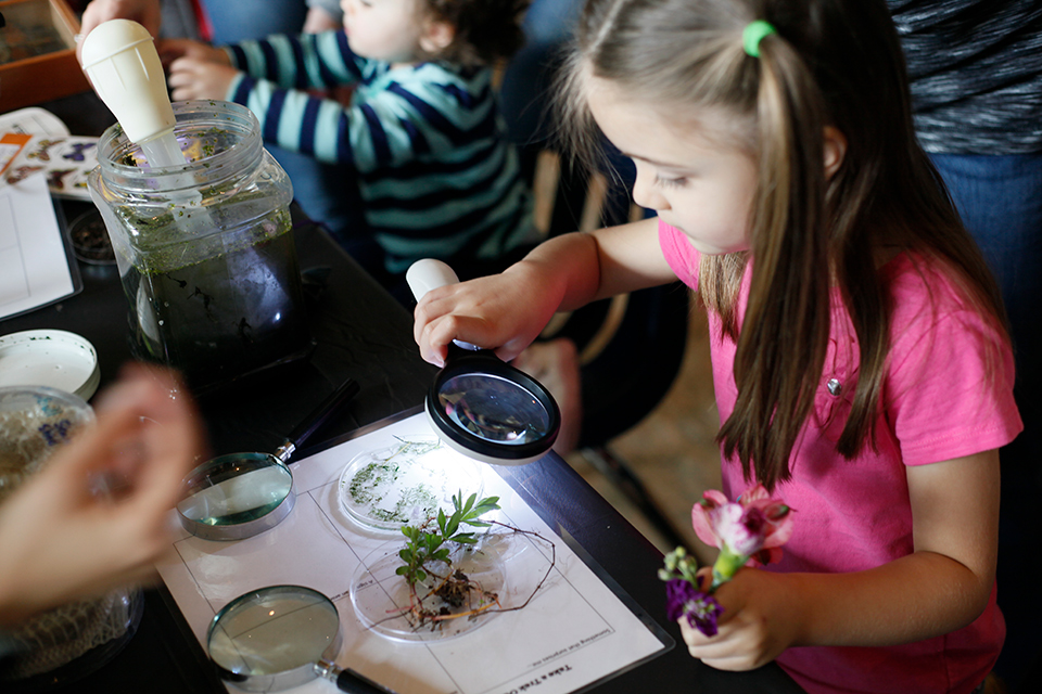 Children looking at plants through a magnifier Children looking at plants through a magnifier