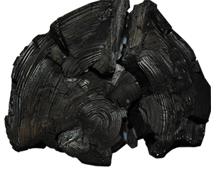 Cross-cut of a black, charred log with rings