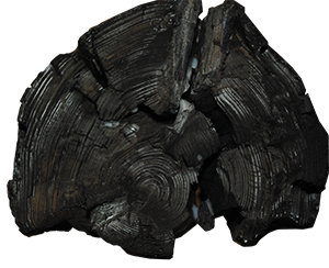 Cross-cut of a black, charred log with rings