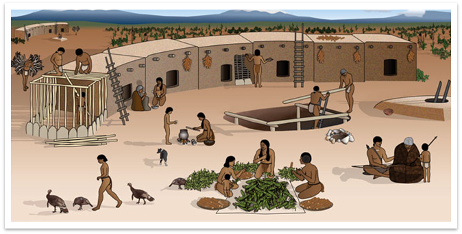 Illustration of a pueblo room block surrounded by corn fields.