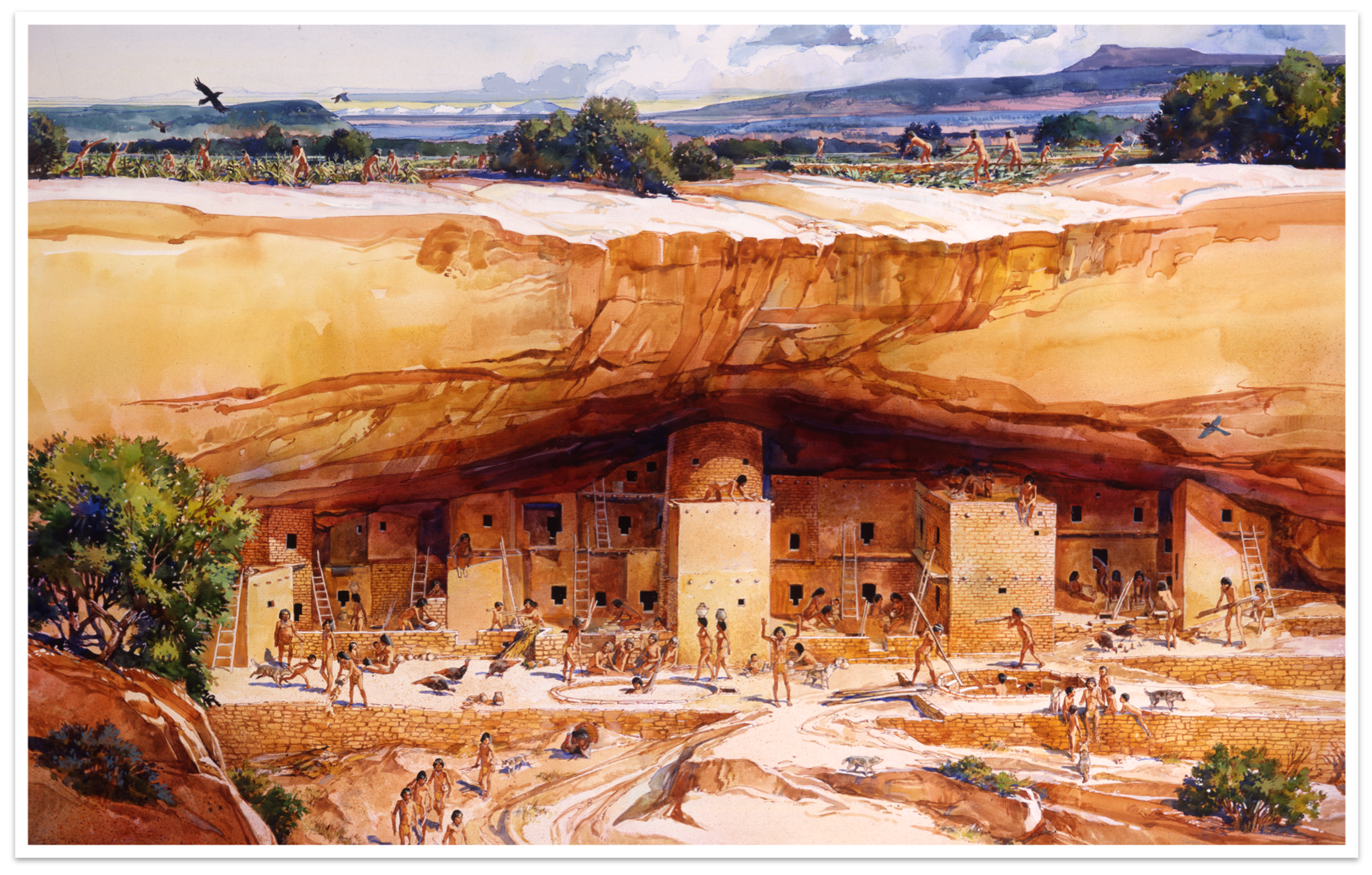 Illustration of Spruce Tree House, a stone built cliff dwelling, as it might have looked long ago. People are building, working and living in the village.