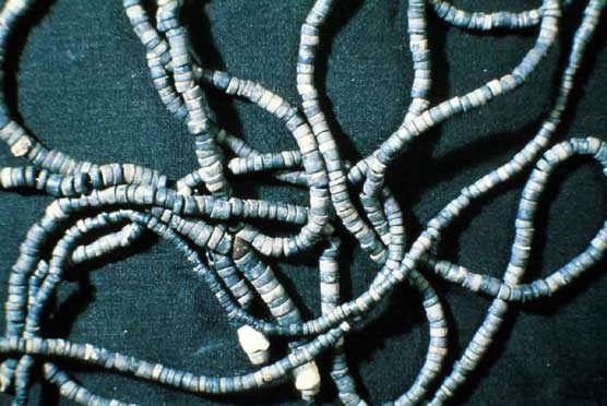 Shell necklace Shell necklace