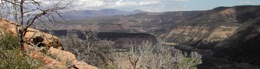 View from Mancos Canyon Overlook