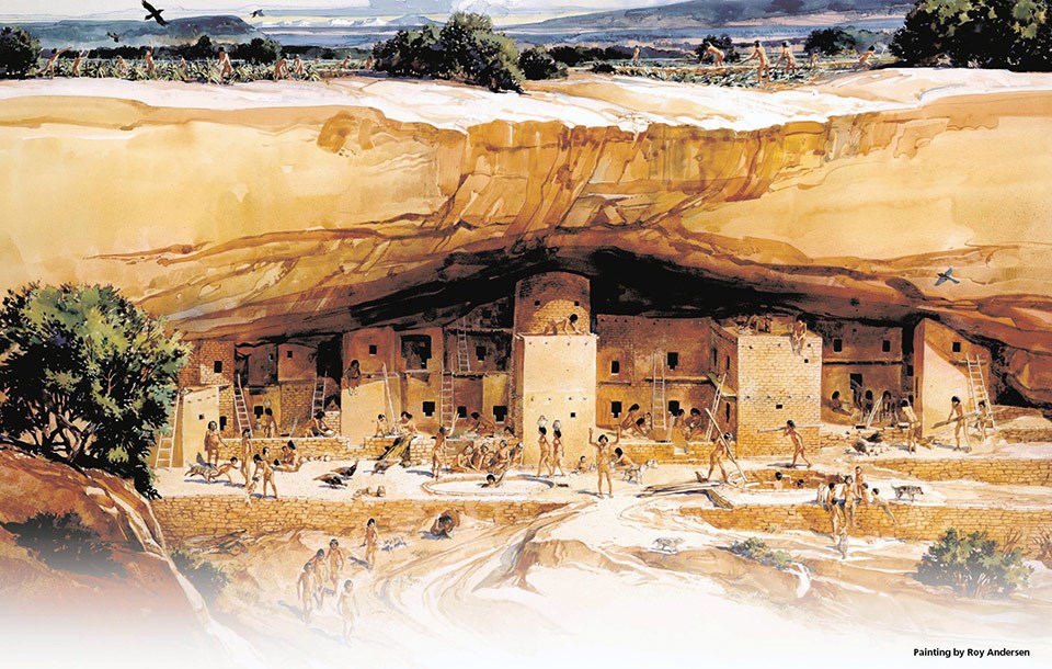 Illustration of Ancestral Pueblo people living in Spruce Tree House ca 1250.