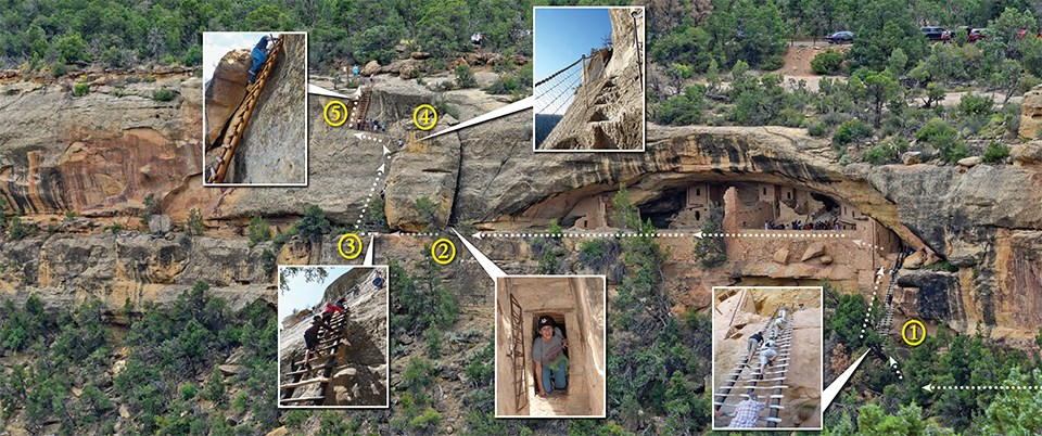 View of visitors climbing ladders up cliff faces to enter and exit an ancient, stone-masonry village set within a cliff alcove.