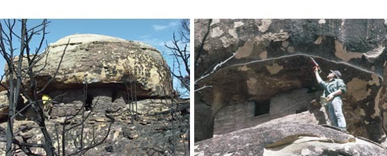 Fire damaged Mushroom House, and the application of silicone driplines to prevent further damage from water runoff.