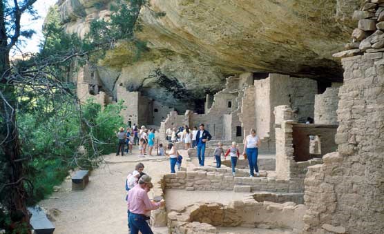 Visitors in Spruce Tree House