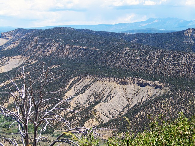 a broad view of wilderness in Mesa Verde National Park including a green mesa and  cliffside