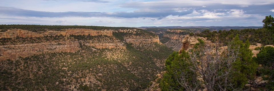 Interconnected canyons and mesas