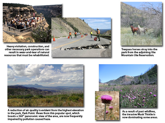 A variety of images showing environmental factors such as declining visibility and the invasive musk thistle. A variety of images showing environmental factors such as declining visibility and the invasive musk thistle.