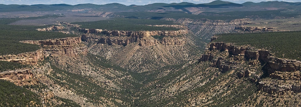 Mesas and Canyons Looking at canyons and green mesas from high above.