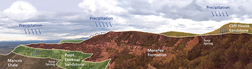 Illustration showing how seeps and springs are created. Precipitation from above falls onto Cliff House or Point Lookout sandstone and percolates down until it hits a shale layer such as the Menefee Formation, and emerges as a seep spring.