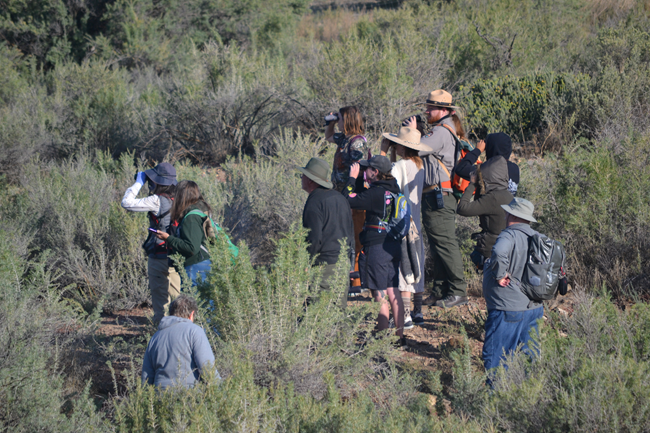 A group of people standing in brush look to their left using binoculars