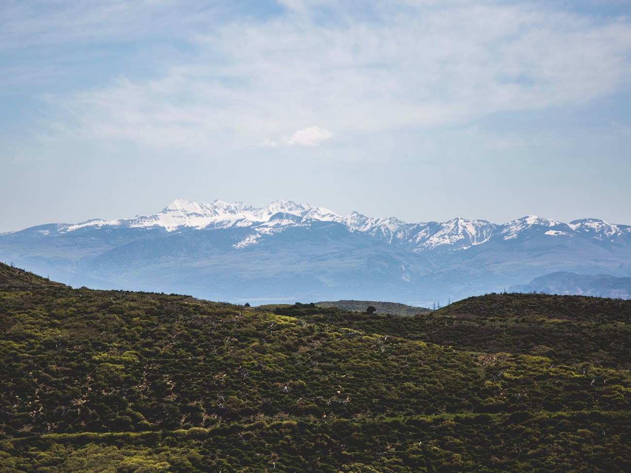 Snow-capped mountains rise above rolling green hills dotted with yellow flowers