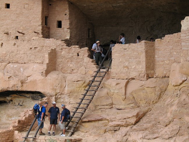 Visitors ascend two ladders through the Long House cliff dwelling as a ranger answers questions at the top.