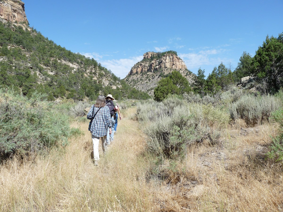 A line of hikers make their way up a canyon between sagebrush, juniper, and steep cliffs