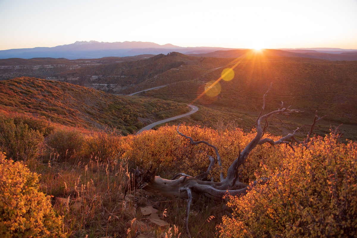 The sun rises over mountains and the winding park road behind autumnal shrubs and a gnarled branch