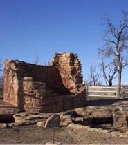 View of Cedar Tree Tower