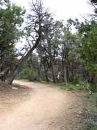 View of Soda Canyon Overlook Trail