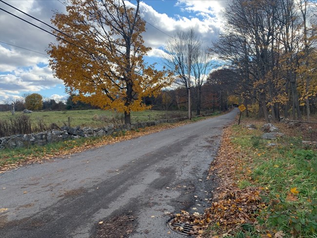 A historical road lined with stone walls leading up and over a wooded hill. An open meadow is seen on the left of the road. The road is paved in a modern style.