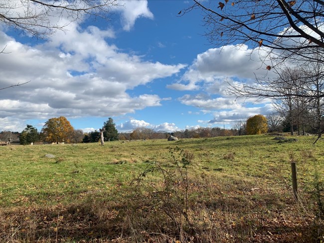 An open meadow on a slight slope surrounded by trees. In the meadow various rocks and dead trees dot the landscape. In the distance a historic house is seen on the left side.