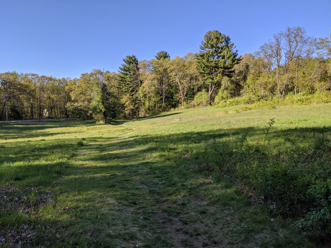 An open meadow on a slight hill surrounded by trees. In the meadow a single segment of post and rail wood fence stands along a worn grassy foot path.