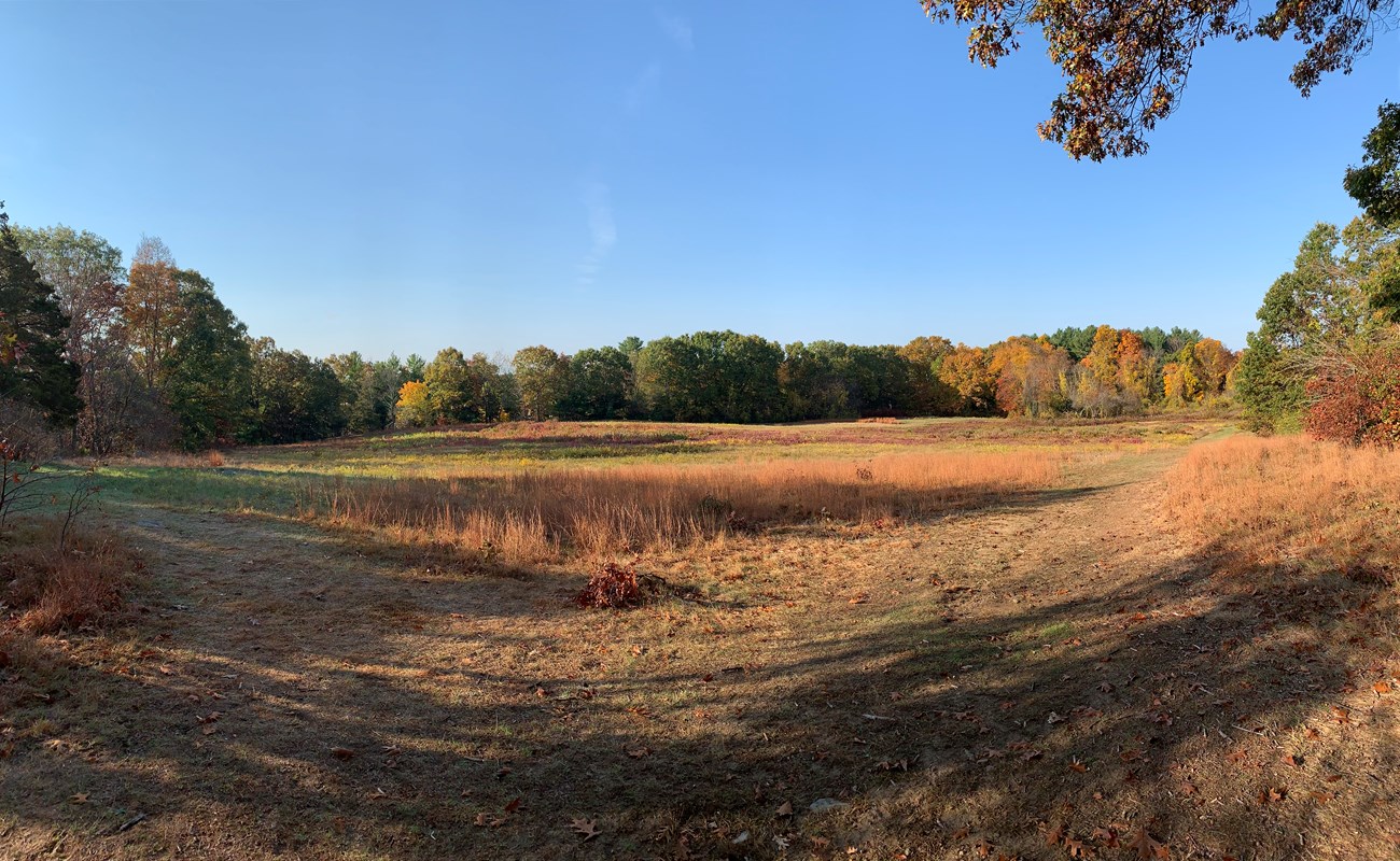 A wide open field with a tree line in the distance. The trees and grass are a mixture of red, orange, and green.