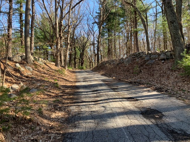 A road deep cut through a hillside with steep borders topped by stone walls. Woods on either side