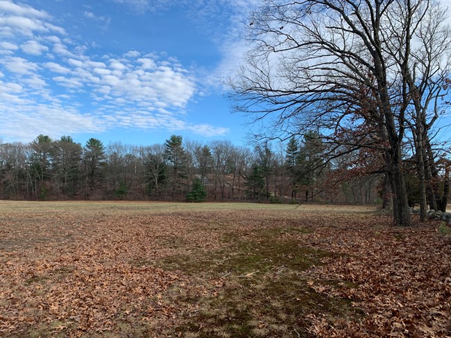 A wide open field with a tree line in the distance. Many of the trees are missing leaves and show a large hill rising in the distance.