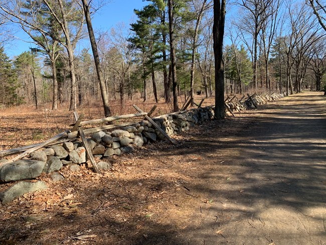 A dirt road bordered by a stone wall topped with wooden rails. Beyond is a field with large trees