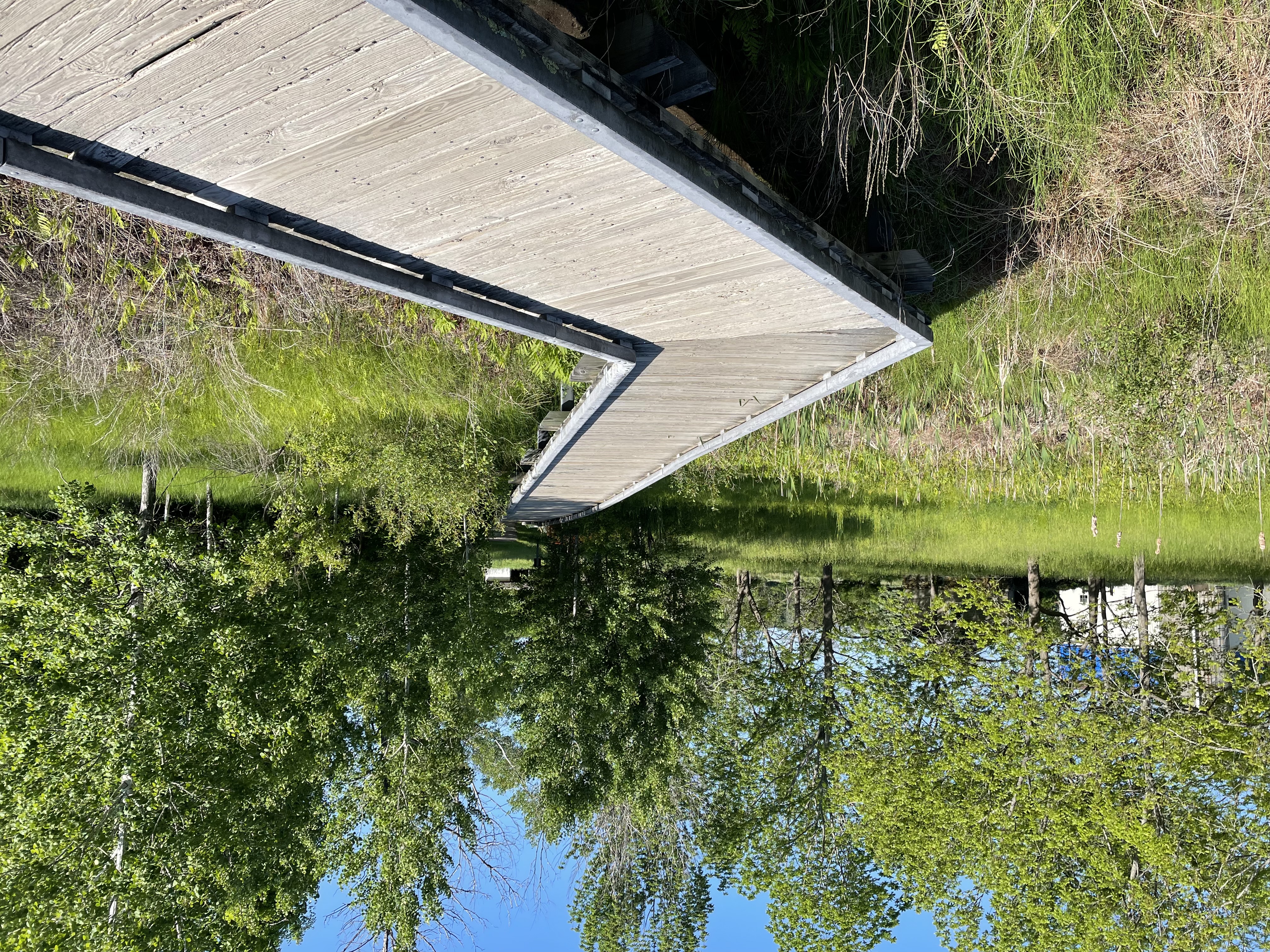 Image of wooden boardwalk along Battle Road Trail