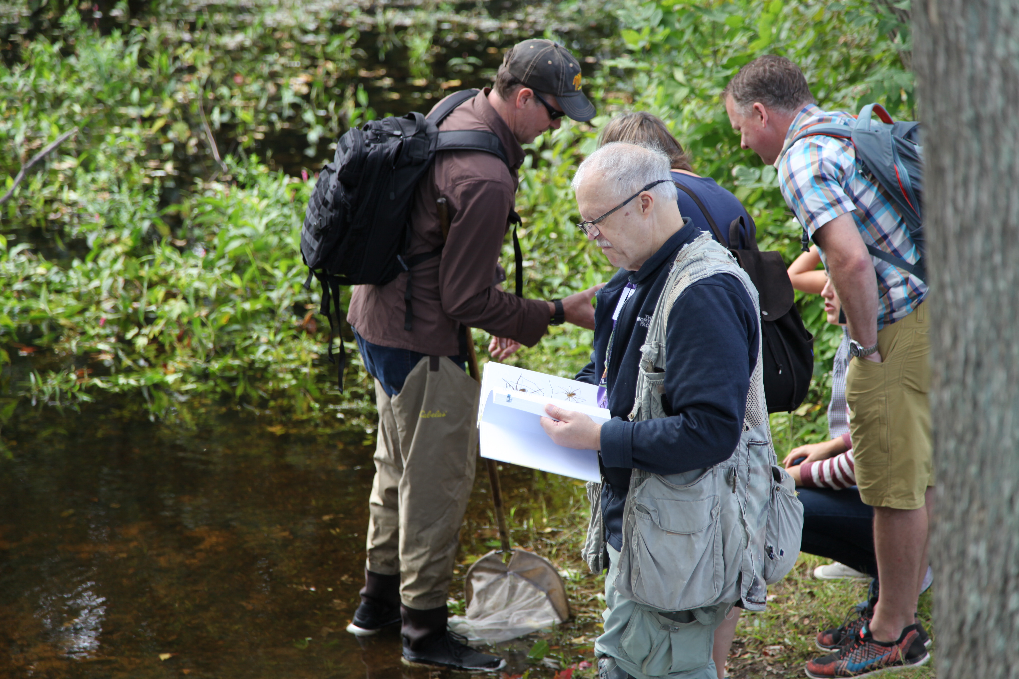 participants at BioBlitz