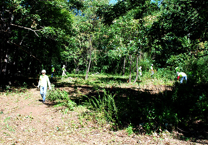 Cleaning up the park