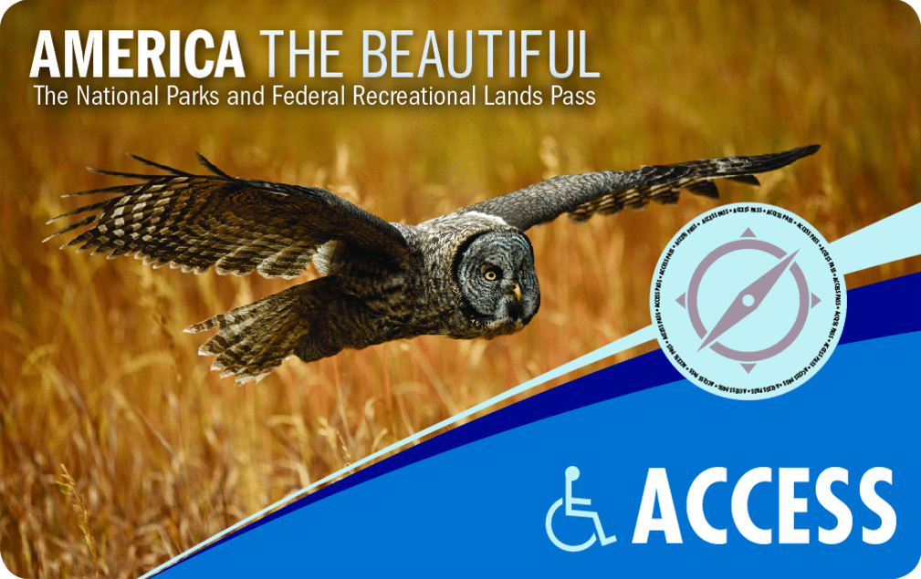 Access pass with image of an owl in mid-flight in a field of grain. There is a blue accessibility access logo on the right side.