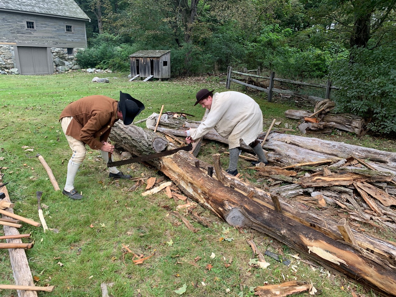 Two men in 1770's work clothes use a two man saw to cut a tree in half.