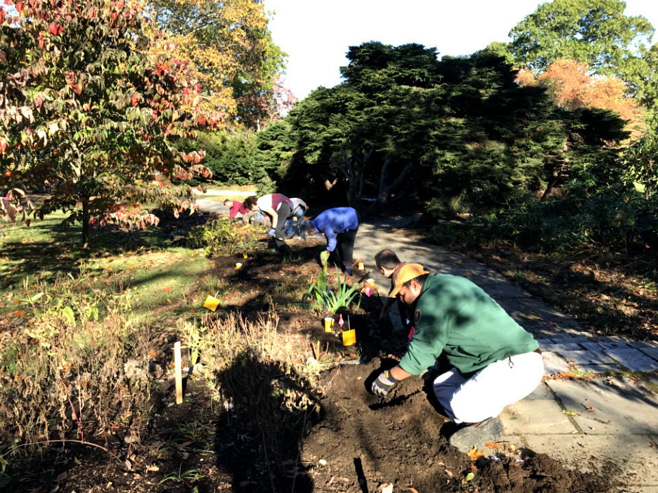 Volunteer stewards work the Buttrick Garden at North Bridge, Concord Volunteer stewards work the Buttrick Garden at North Bridge, Concord