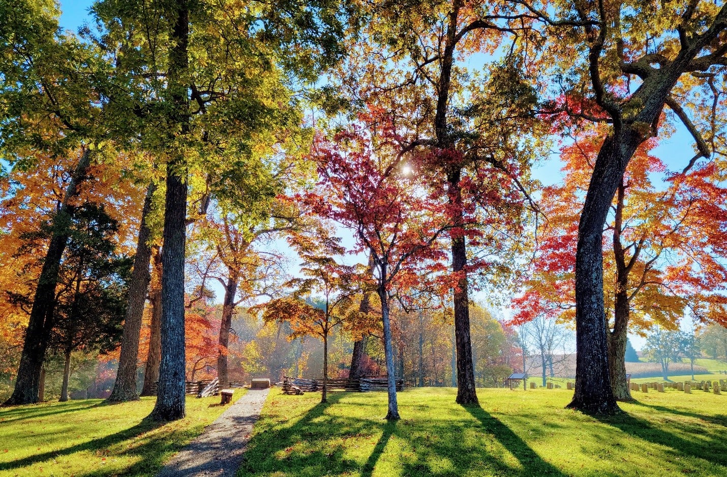 ZP Fall Colors 276995471_478835083964161_9127656017793965572_n