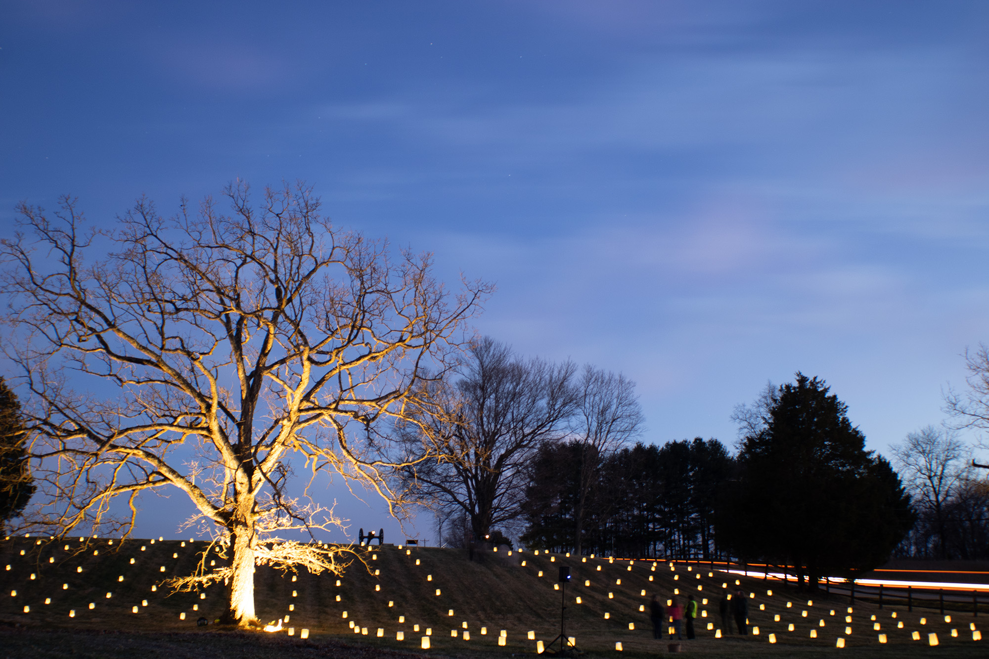 A hill at sunset with luminaries glowing and an old dead tree.