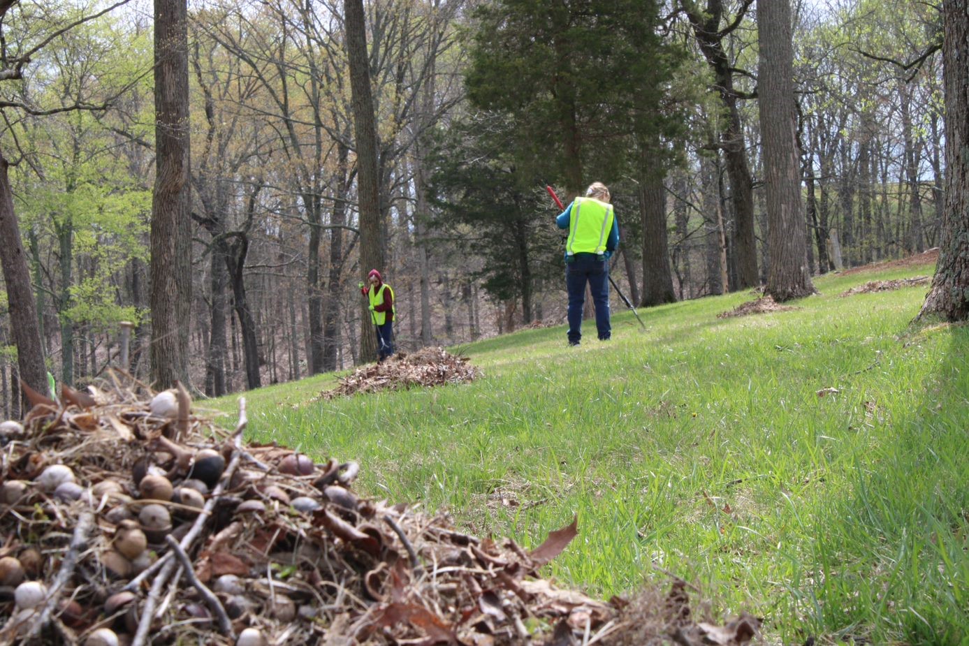 Park volunteers raking leaves on Park Day in 2022. Two volunteers raking leaves on grassy hill with woods in the background and a leaf pile in the foreground