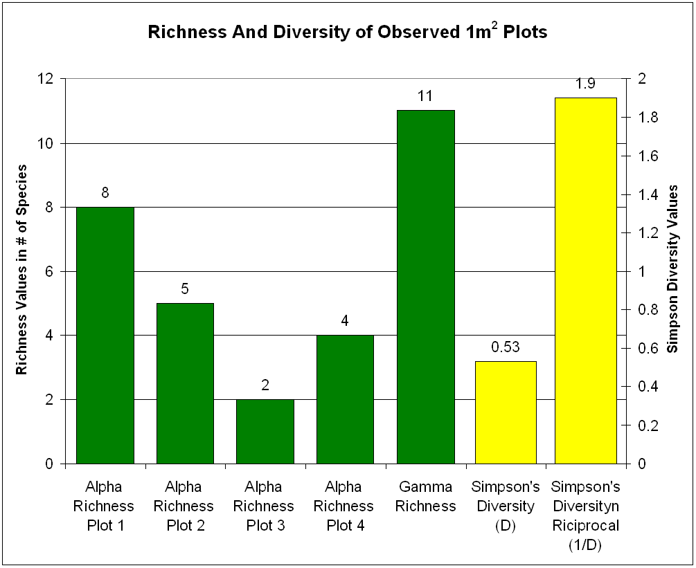 Observed richness and diversity at Coldwater - YCC buckthorn experiment