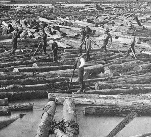 Men on logs that are floating on a river.