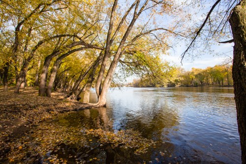 A river runs through an autumnal forest.